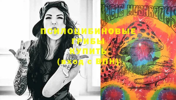 mix Богородицк
