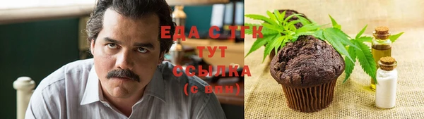 индика Бугульма
