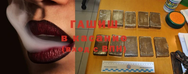 индика Бугульма