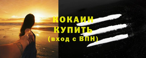 индика Бугульма