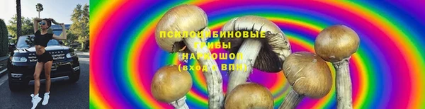 индика Бугульма