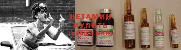 мяу мяу мука Бородино