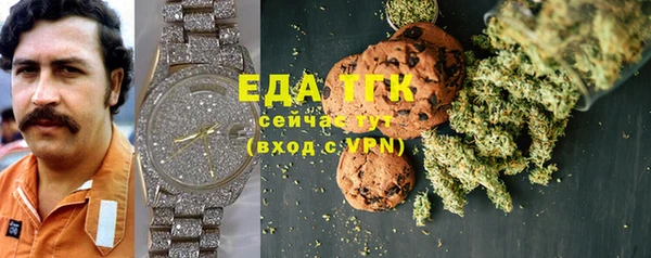 индика Бугульма