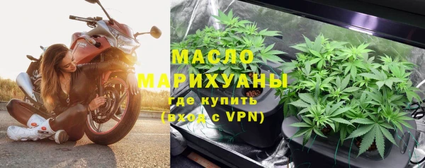 индика Бугульма