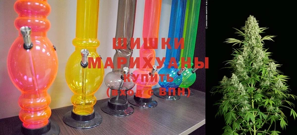 индика Бугульма