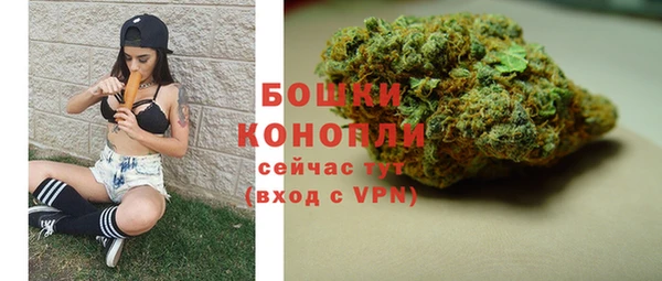 мдпв Бронницы